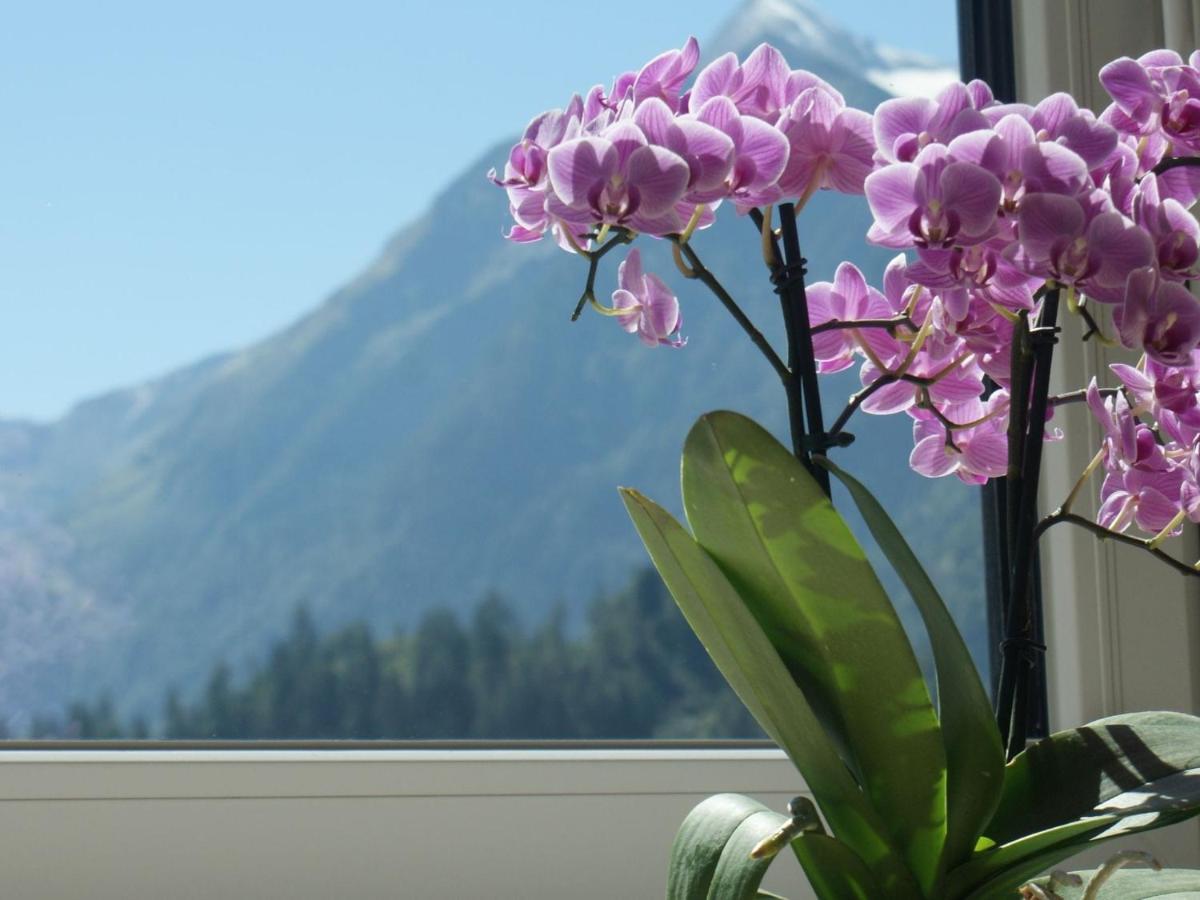 Apartment With Terrace In Kaprun Salzburg Kültér fotó